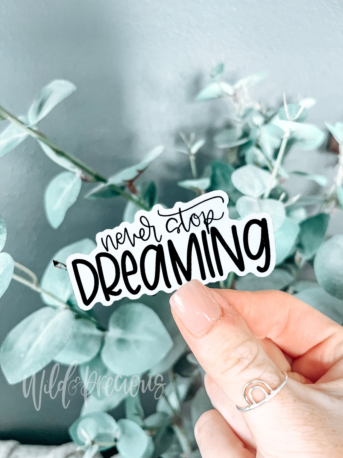 Never Stop Dreaming Sticker