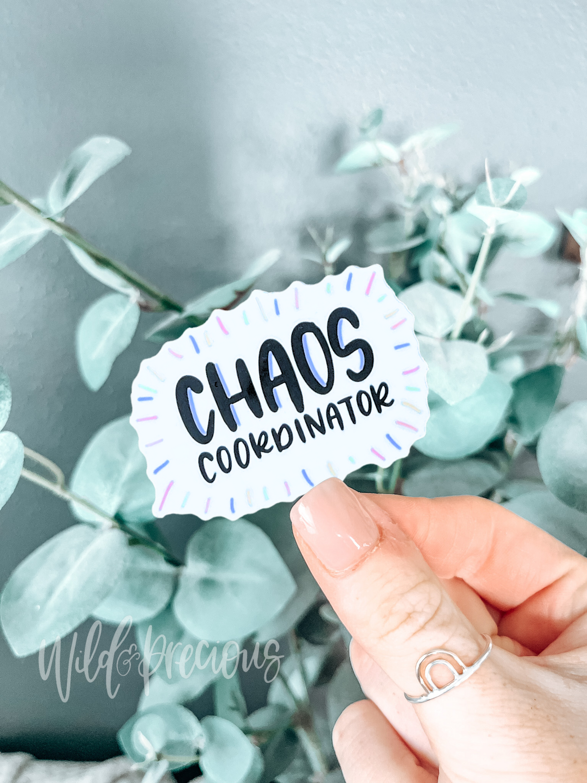Chaos Coordinator Sticker