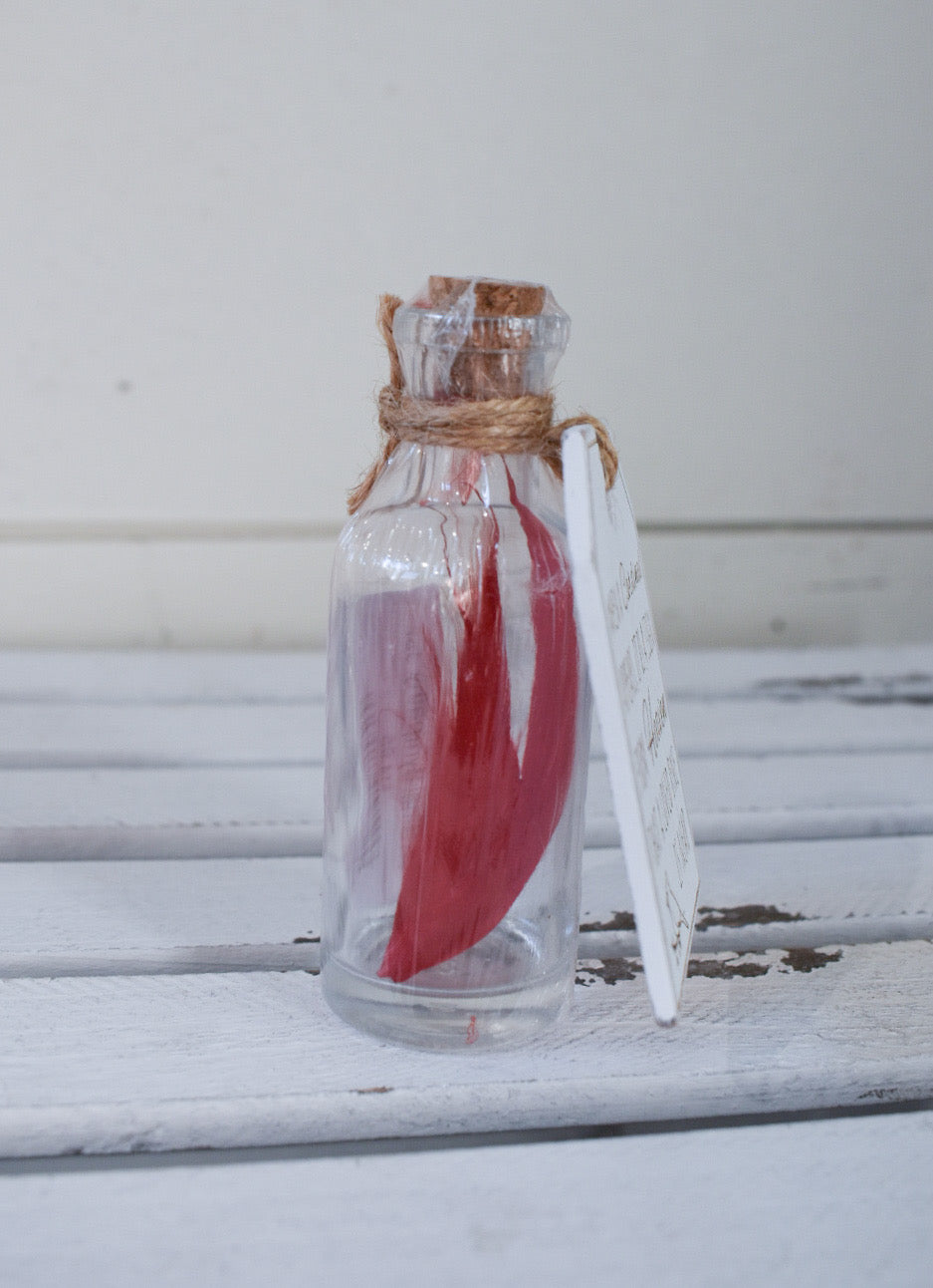 Cardinal Sympathy Jar