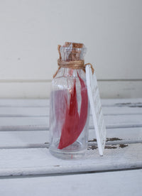 Cardinal Sympathy Jar