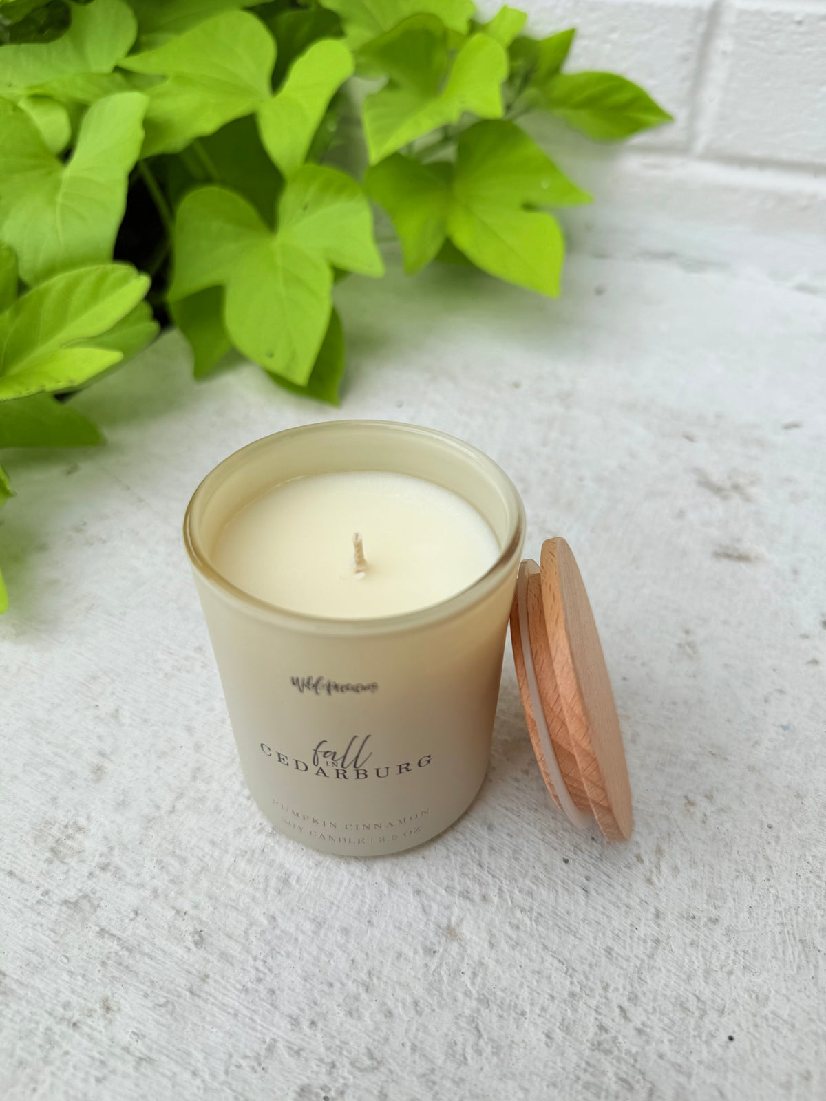 Fall Into Cedarburg Soy Candle - 3.5oz