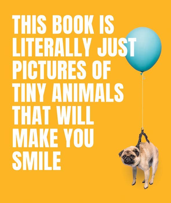 Book of Literally Just Tiny Animals Book