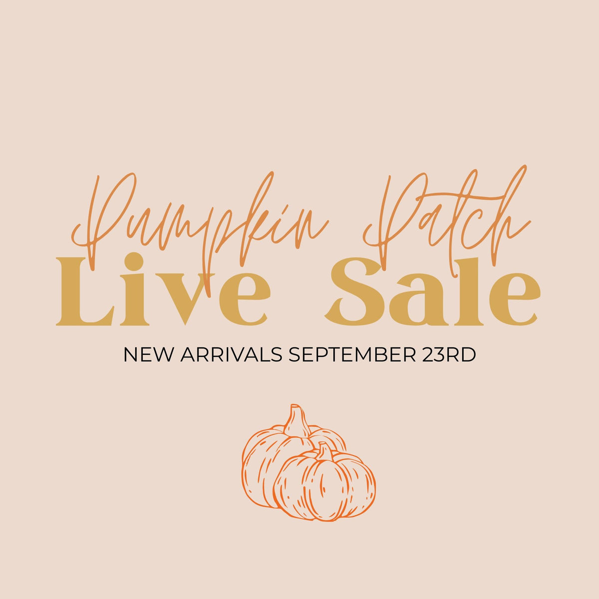 Pumpkin Patch Live Sale : 9/23/26