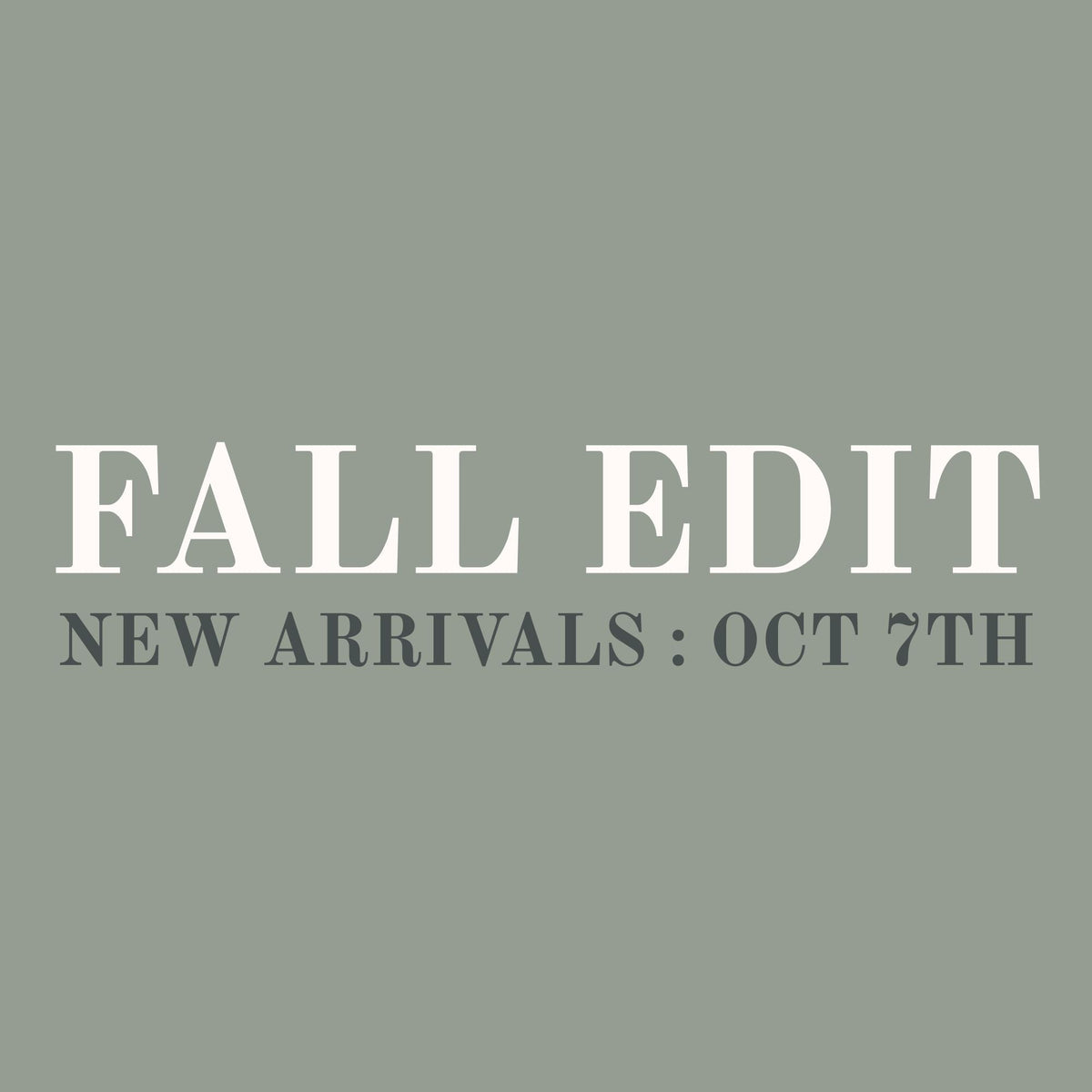 Fall Edit : October 7th : New Arrivals