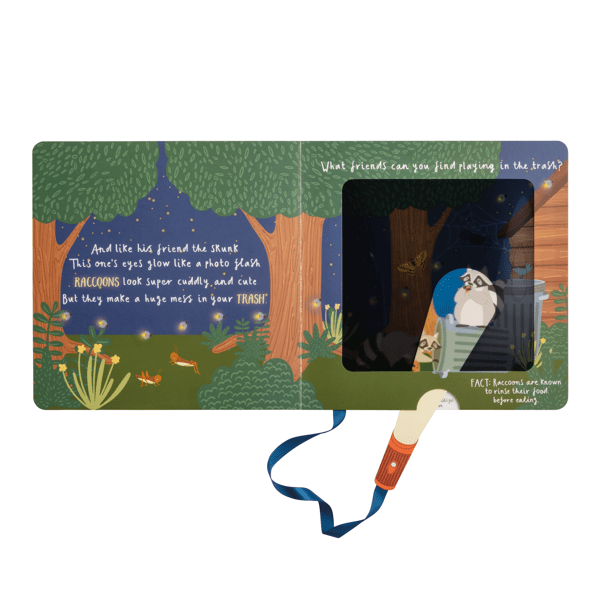 Night Animals Flashlight Book