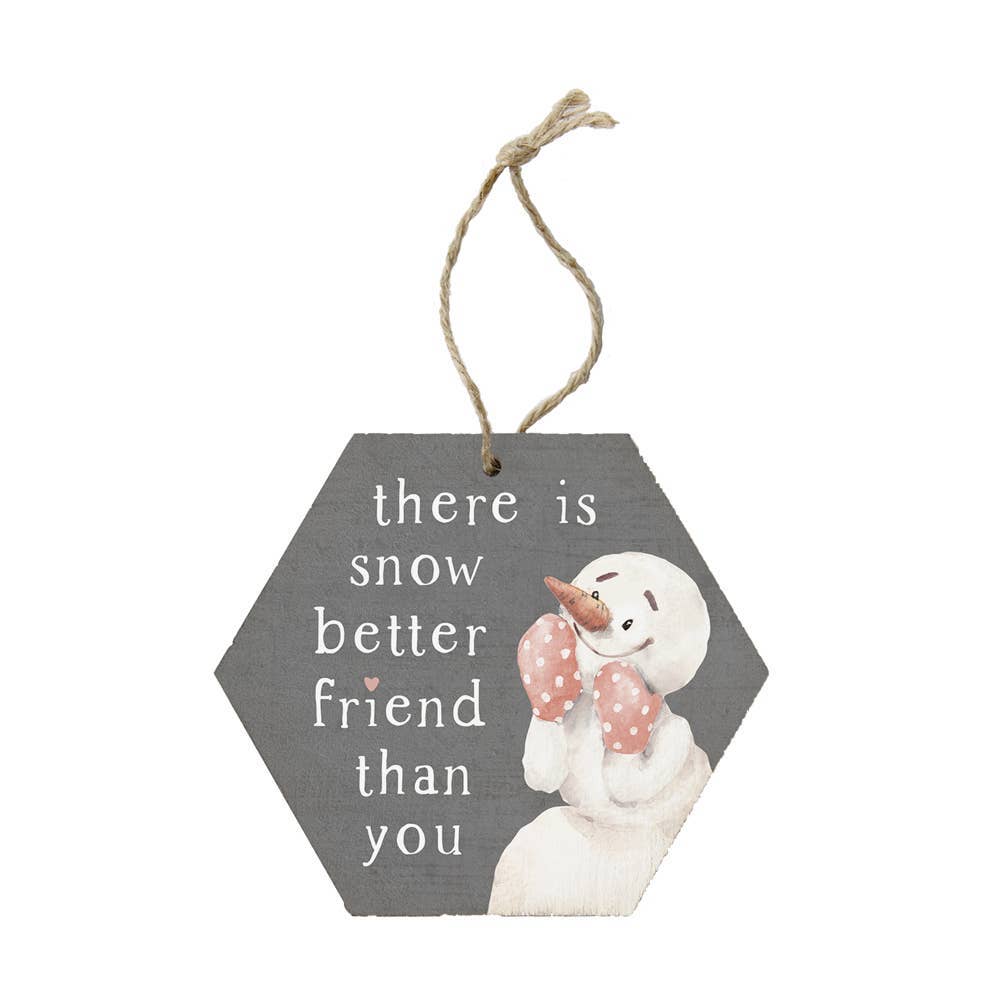 Snow Best Friend Ornament