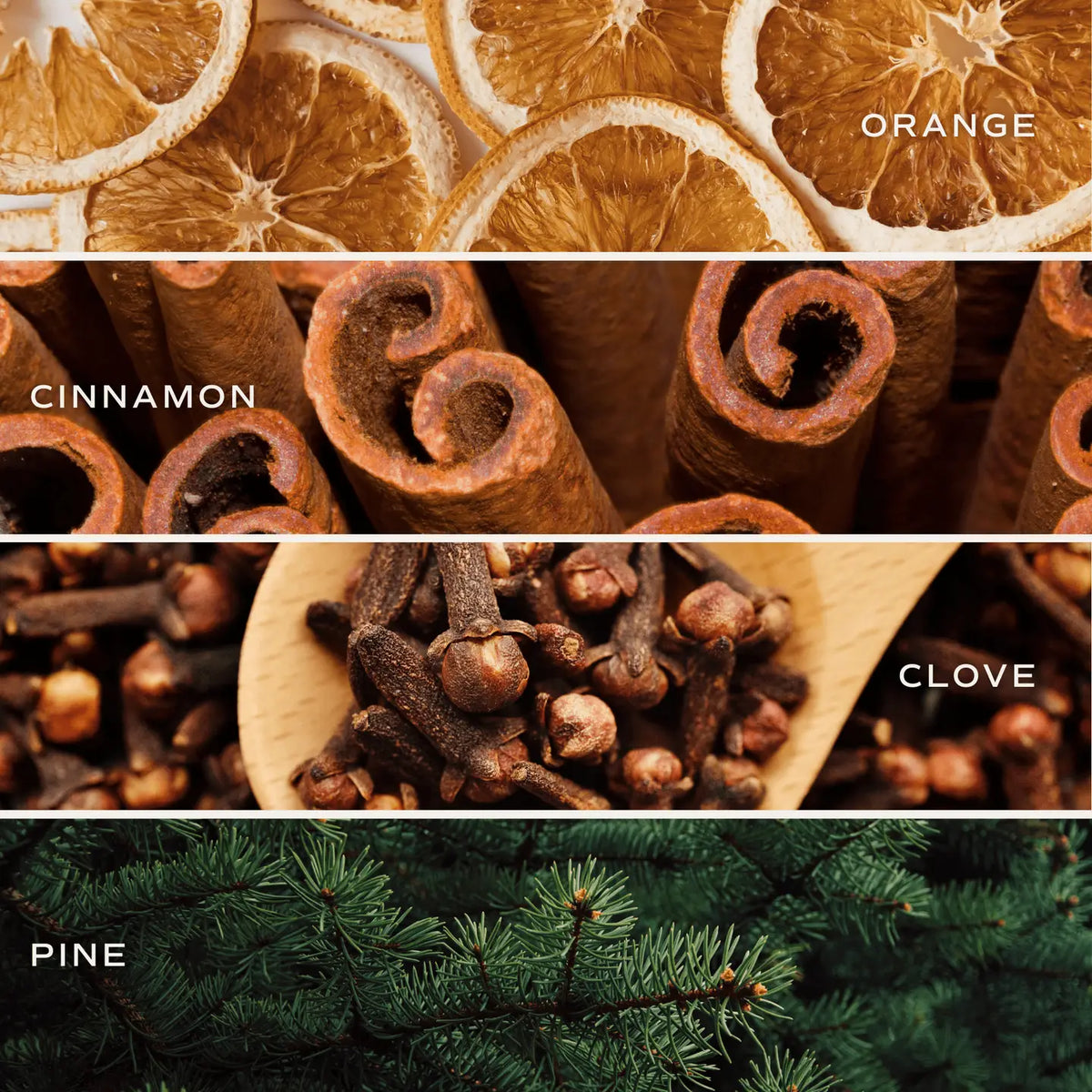 Warm and Cozy Reed Diffuser