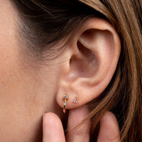 Mini Hoop Champagne Gold Earrings