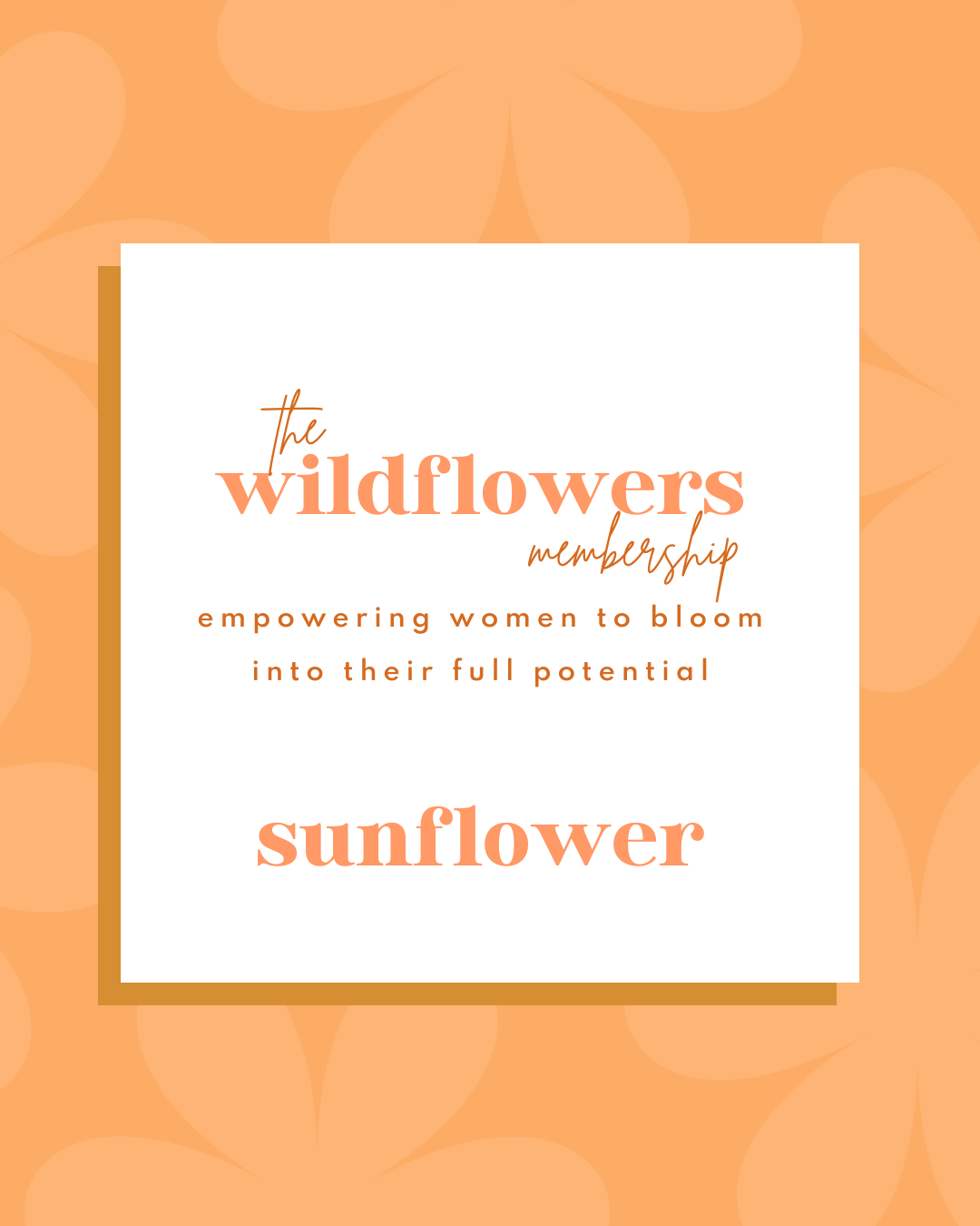 The Wildflowers Membership - SUNFLOWER