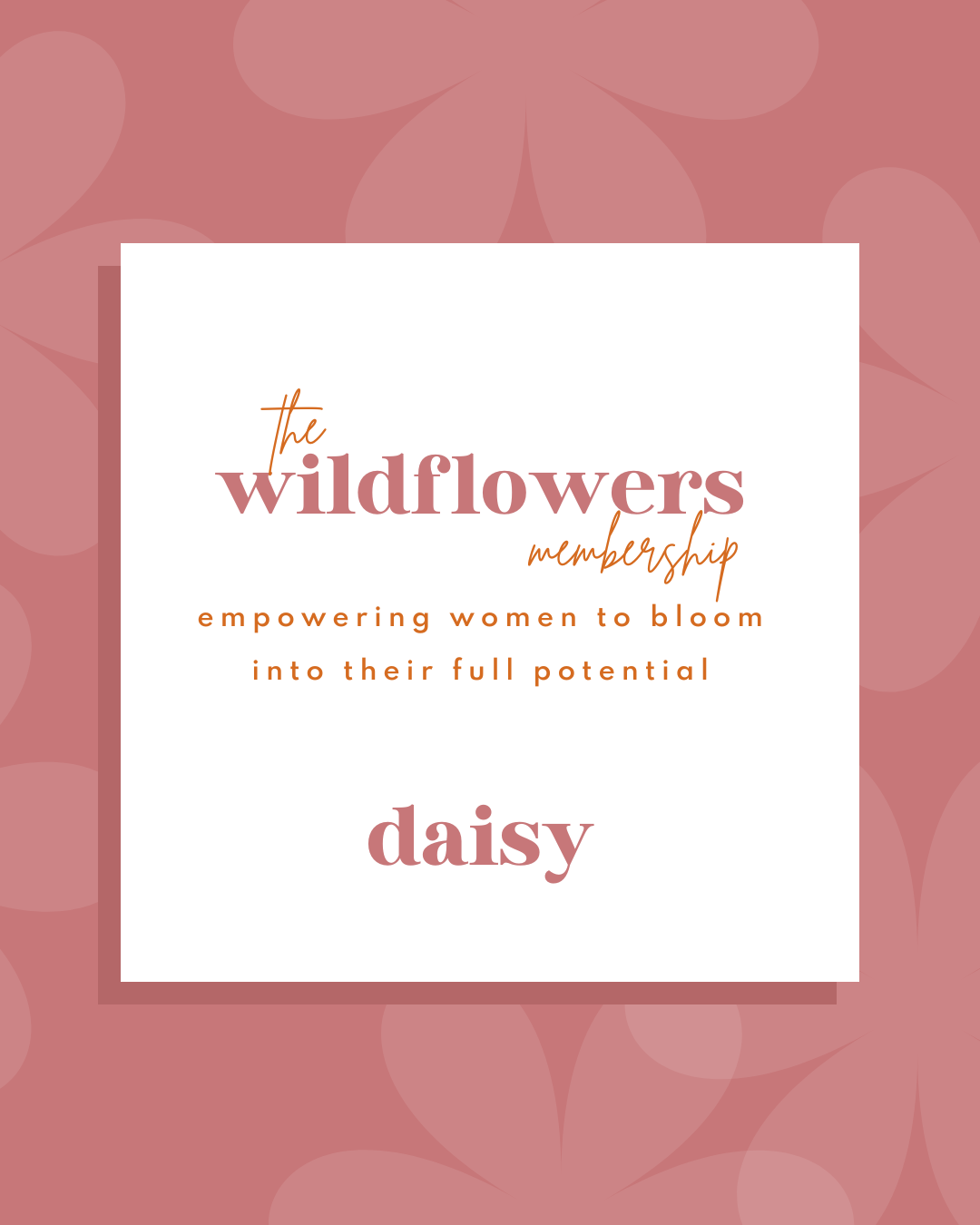 The Wildflowers Membership - DAISY