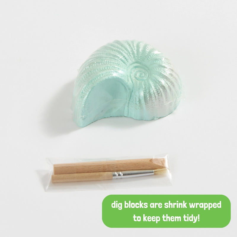 Ocean Treasure Dig Kit