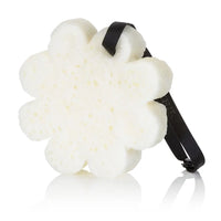 Autumn Bloom Boxed Flower Buffer