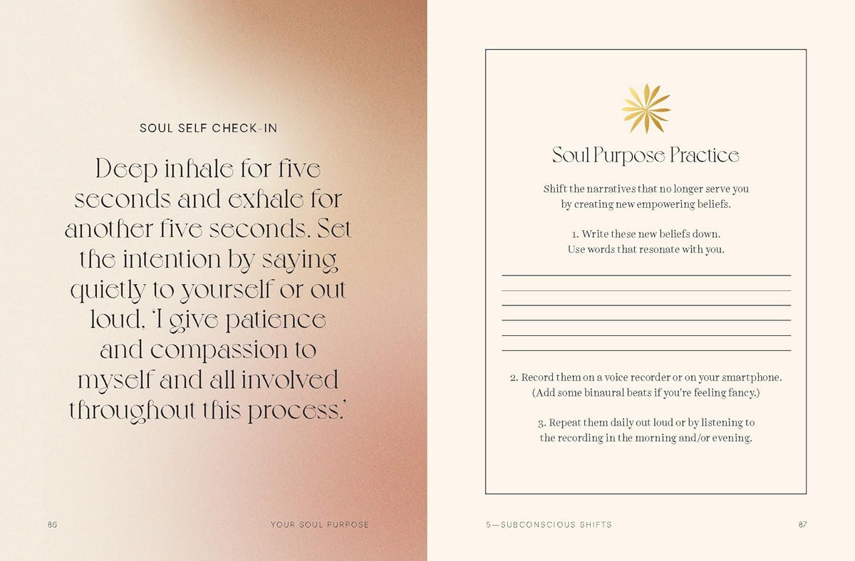 Your Soul Purpose Book
