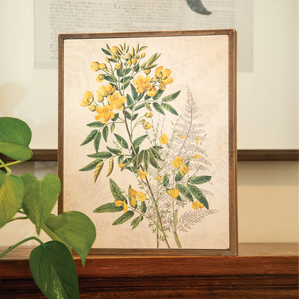 Yellow Anemone & Fern Botanical Box Sign