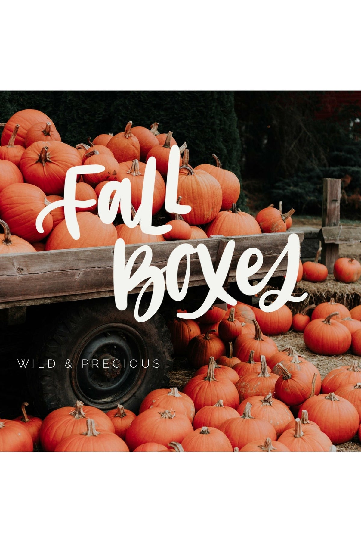 2025 W&P Fall Box - PREORDER
