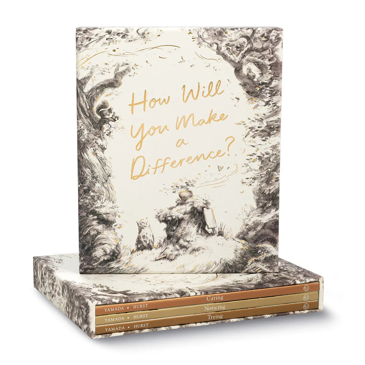 How Will You Make a Difference? Boxed Book Set