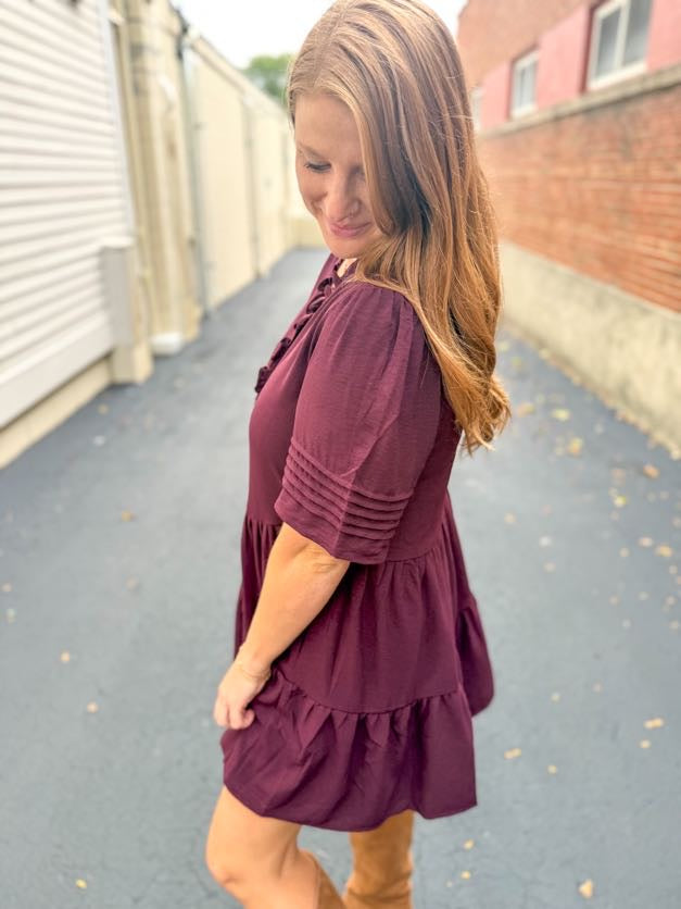Ruffled Wine Mini Dress