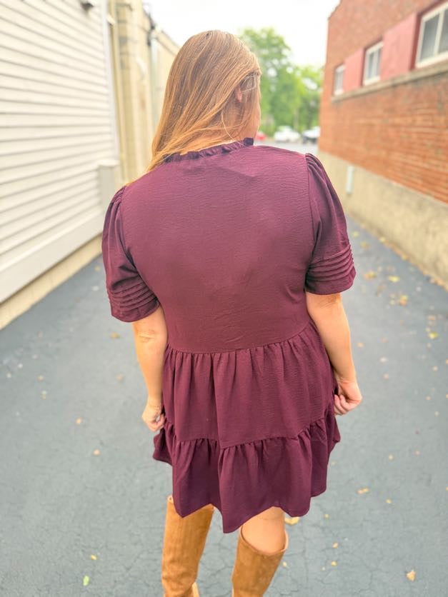 Ruffled Wine Mini Dress