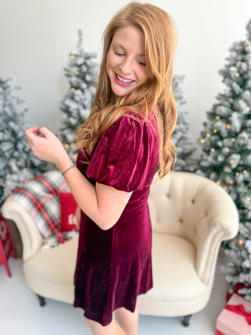 Wine Velvet Dress