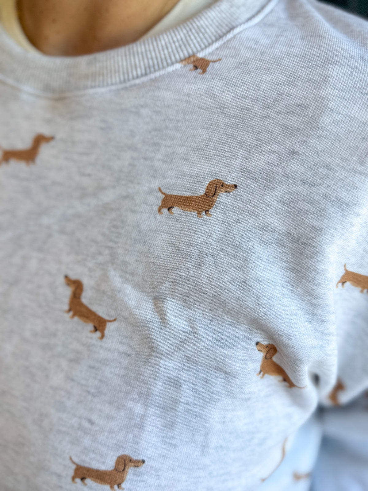 Wiener Dog Crewneck Sweatshirt