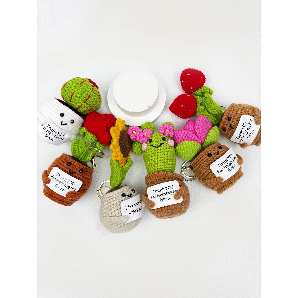 Positive Crochet Potted Succulent Keychain - Mystery Plant