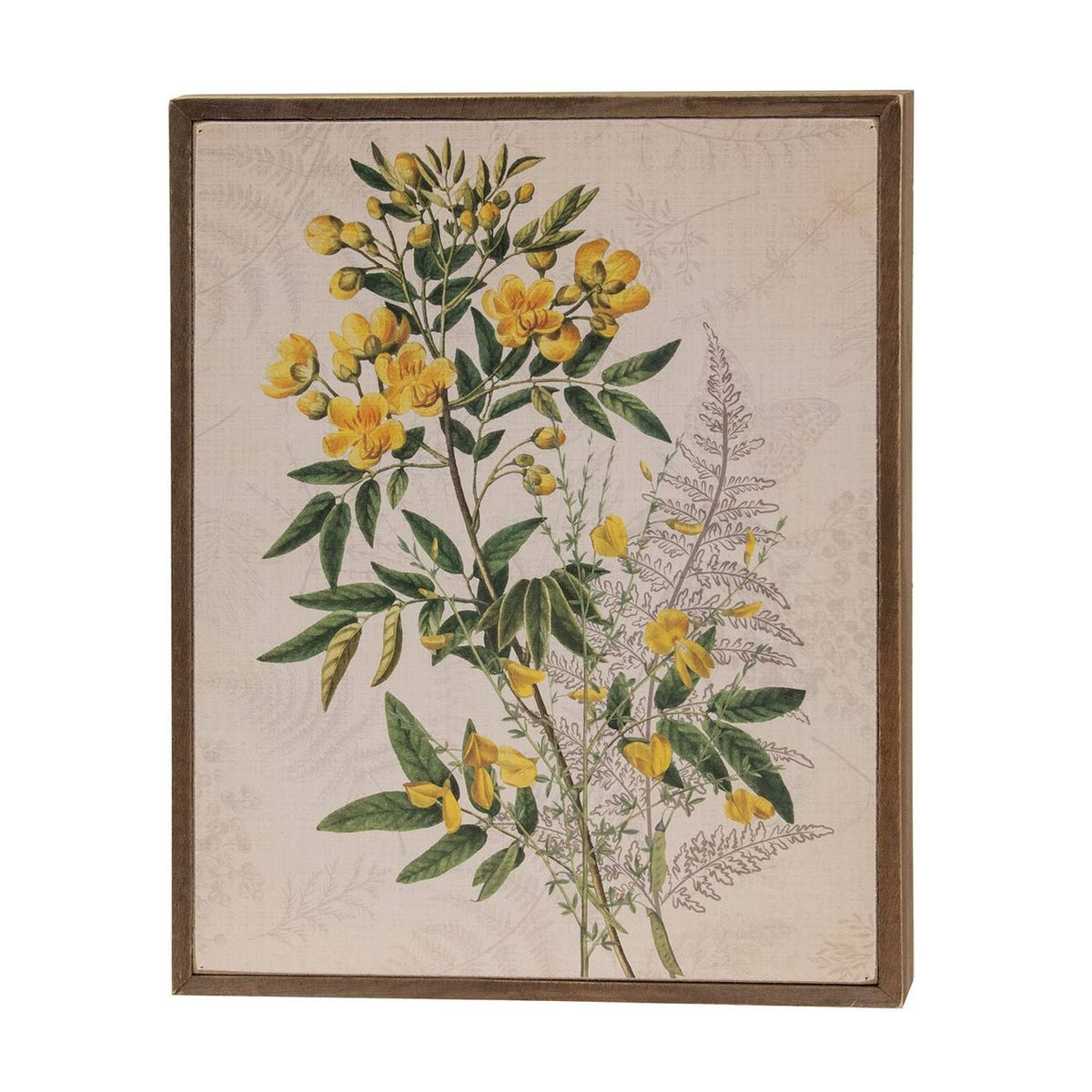 Yellow Anemone & Fern Botanical Box Sign