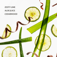 Touchland Hydrating Hand Sanitizer - Aloe You