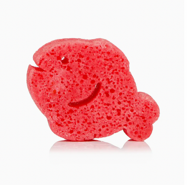 Fiona Fish Sea Animals Sponge
