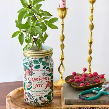 Holiday Herb Garden Jar - Comfort And Joy