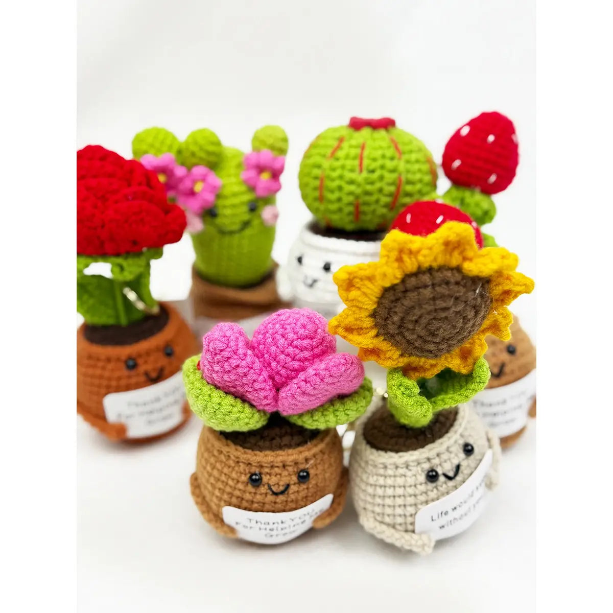 Positive Crochet Potted Succulent Keychain - Mystery Plant