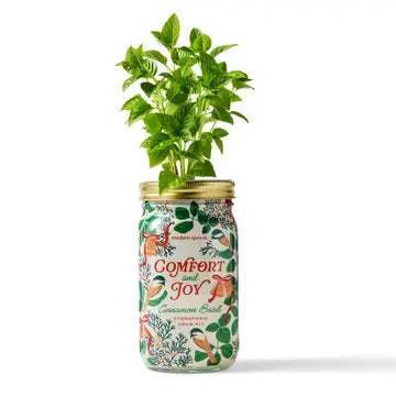 Holiday Herb Garden Jar - Comfort And Joy