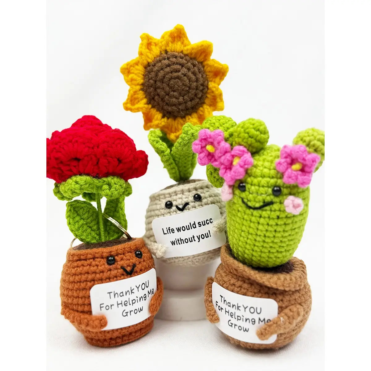 Positive Crochet Potted Succulent Keychain - Mystery Plant