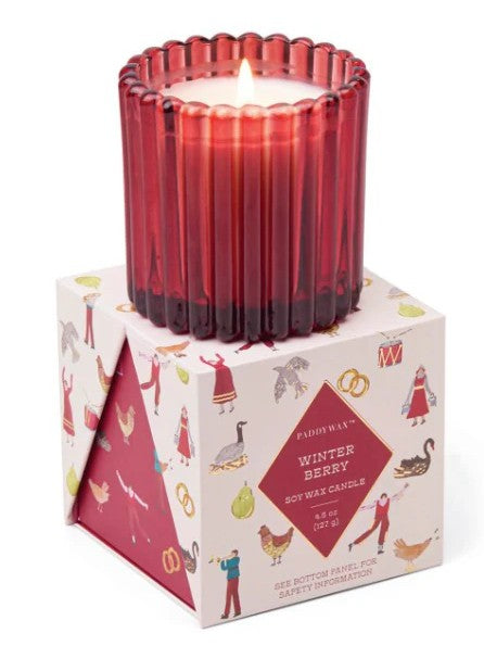Winter Berry Candle- 4.5oz
