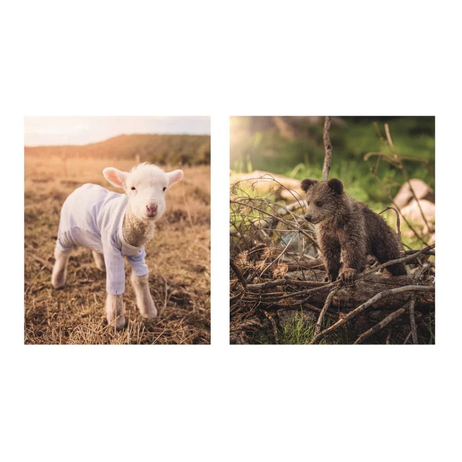 Book of Literally Just Tiny Animals Book