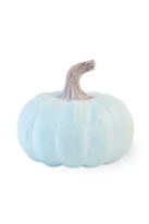 Blue Short Pumpkin